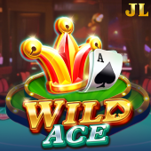 Wild Ace at jljl9 casino